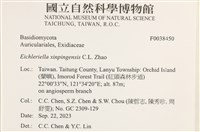 登錄號:F0038450藏品圖，第2張
