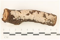 登錄號:F0038450藏品圖，第1張