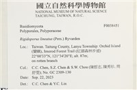 登錄號:F0038451藏品圖，第2張