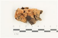 登錄號:F0038451藏品圖，第1張