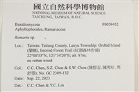 登錄號:F0038452藏品圖，第2張