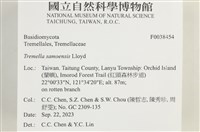 登錄號:F0038454藏品圖，第2張