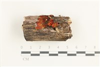 登錄號:F0038454藏品圖，第1張