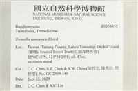 登錄號:F0038455藏品圖，第2張