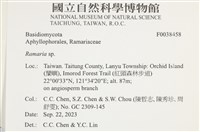 登錄號:F0038458藏品圖，第2張