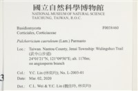 登錄號:F0038460藏品圖，第2張