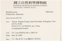 登錄號:F0038463藏品圖，第2張