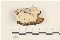 登錄號:F0038464藏品圖，第1張