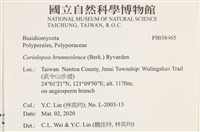 登錄號:F0038465藏品圖，第2張