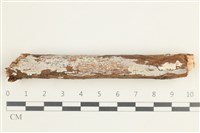 登錄號:F0038466藏品圖，第1張