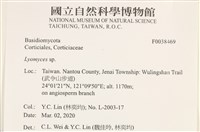登錄號:F0038469藏品圖，第2張