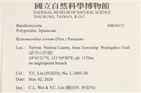 登錄號:F0038471藏品圖，第2張