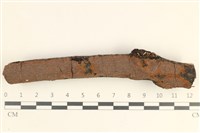 Accession Number:F0038472 Collection Image, Figure 1, Total 2 Figures
