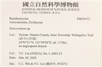 刺皮菌屬藏品圖，第2張