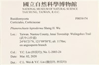 登錄號:F0038474藏品圖，第2張