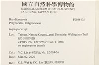 登錄號:F0038475藏品圖，第2張