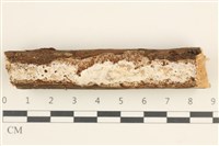 登錄號:F0038475藏品圖，第1張