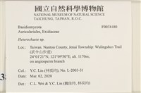 刺皮菌屬藏品圖，第2張
