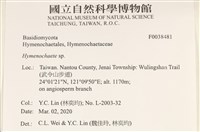 刺革菌屬藏品圖，第2張