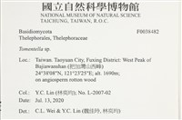 登錄號:F0038482藏品圖，第2張