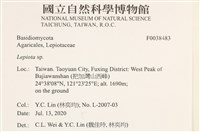 登錄號:F0038483藏品圖，第2張