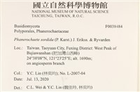 登錄號:F0038484藏品圖，第2張
