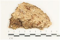 登錄號:F0038485藏品圖，第1張