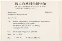 登錄號:F0038489藏品圖，第2張