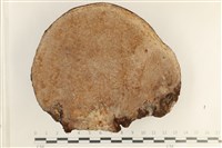 登錄號:F0038492藏品圖，第3張