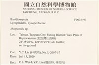 登錄號:F0038493藏品圖，第2張