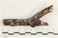 登錄號:F0038494藏品圖，第1張