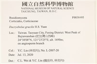 登錄號:F0038495藏品圖，第2張