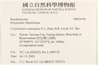 登錄號:F0038498藏品圖，第2張