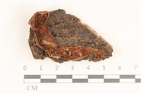 登錄號:F0038498藏品圖，第1張