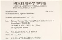 登錄號:F0038500藏品圖，第2張