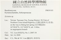 木齒菌屬藏品圖，第2張