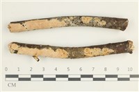 登錄號:F0038504藏品圖，第1張