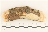 登錄號:F0038510藏品圖，第1張
