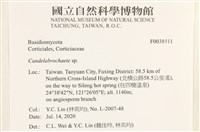 登錄號:F0038511藏品圖，第2張