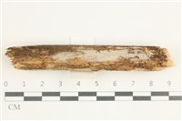 登錄號:F0038512藏品圖，第1張