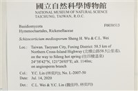 登錄號:F0038513藏品圖，第2張