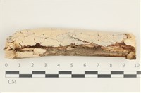 登錄號:F0038513藏品圖，第1張