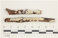 登錄號:F0038514藏品圖，第1張