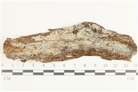 登錄號:F0038515藏品圖，第1張