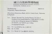 登錄號:F0038518藏品圖，第2張