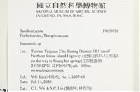 登錄號:F0038520藏品圖，第2張