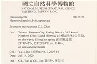 登錄號:F0038521藏品圖，第2張
