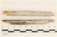 登錄號:F0038521藏品圖，第1張