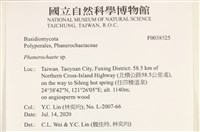 顯絲菌屬藏品圖，第2張