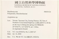容氏菌屬藏品圖，第2張
